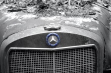 DSC_3516-c.jpg