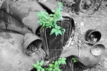 DSC_3534-c.jpg