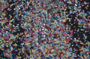 DSC_10107.JPG