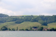 DSC_0194.JPG