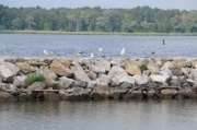 DSC_0207.JPG