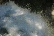 DSC_0284.JPG