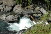 DSC_0291.JPG