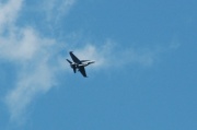 DSC_0306.JPG