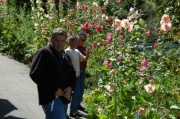 DSC_0319.JPG