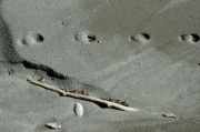 DSC_0166.JPG