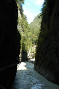 DSC_0177.JPG