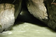 DSC_0223.JPG