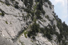 DSC_7387.JPG