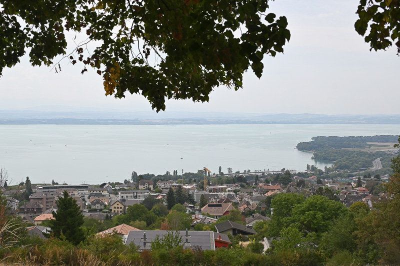 <div></div>