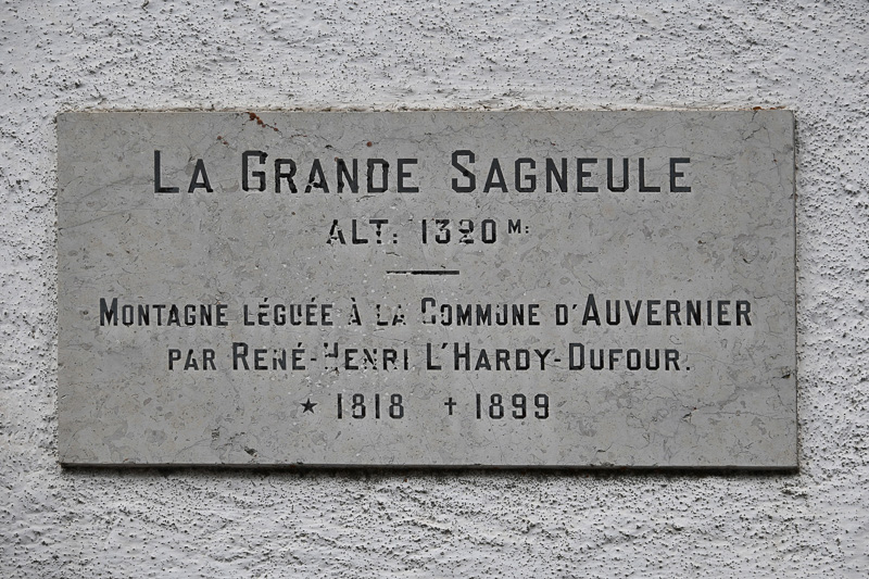 <div></div>