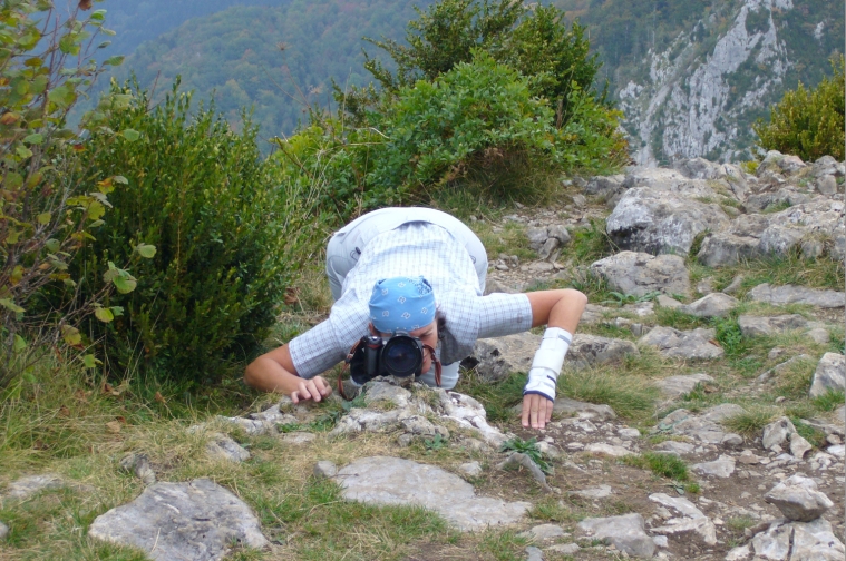 099montsegur.jpg