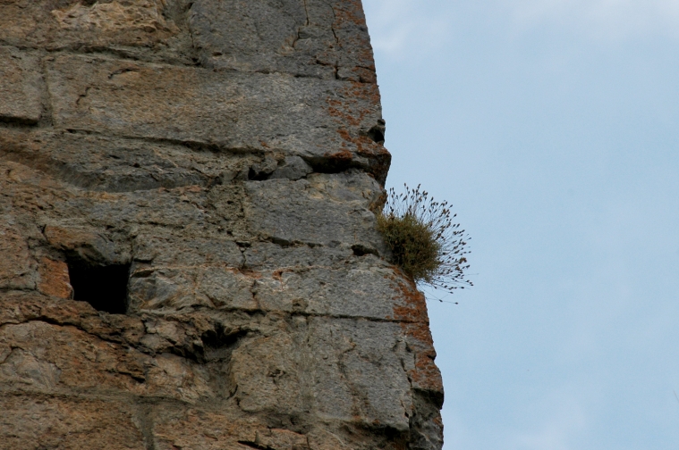 110montsegur.jpg