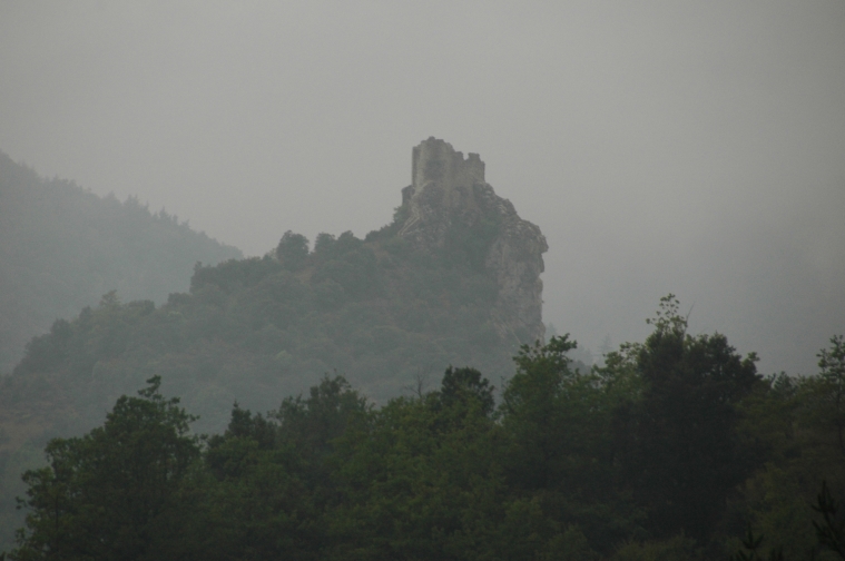 006fenouillet.jpg