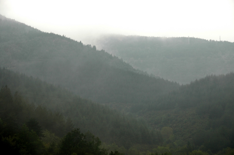 007fenouillet.jpg