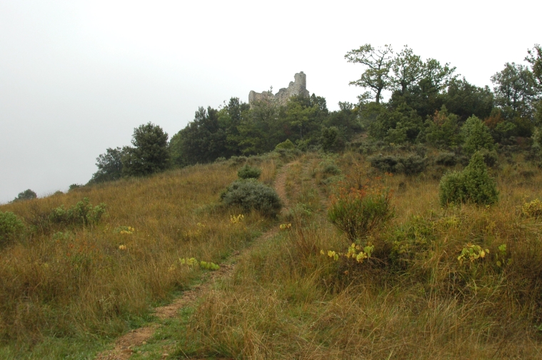 031fenouillet.jpg