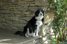 002montferrier.jpg