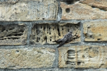 048foix.jpg