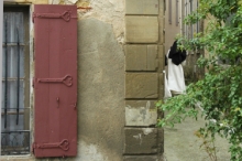 064fanjeaux.jpg