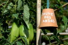 144villelongue.jpg