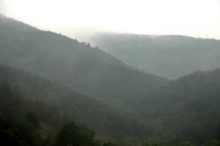007fenouillet.jpg