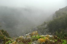 025fenouillet.jpg