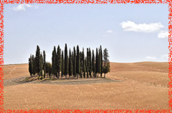 Montalcino