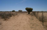 En direction du premier point de confluence en Namibie . . .