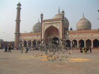 La mosque Jama Masjid