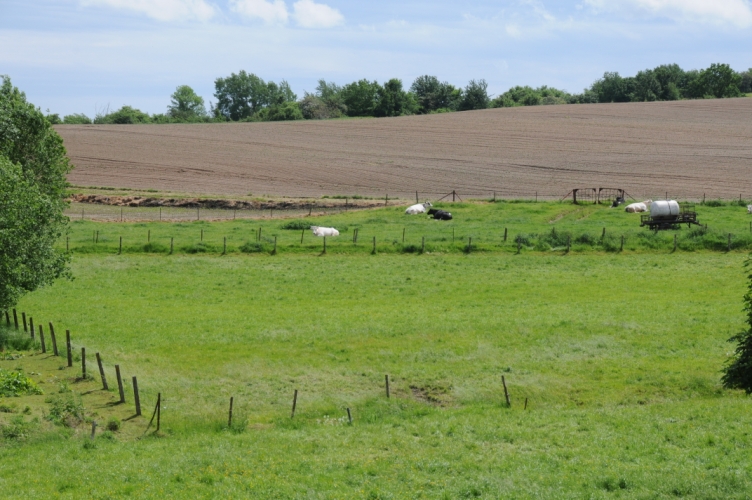 DSC_2301.jpg