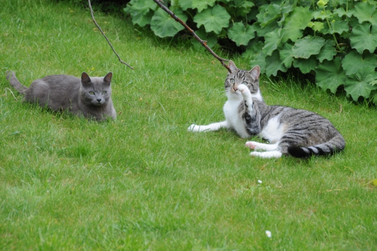 DSC_2310.jpg