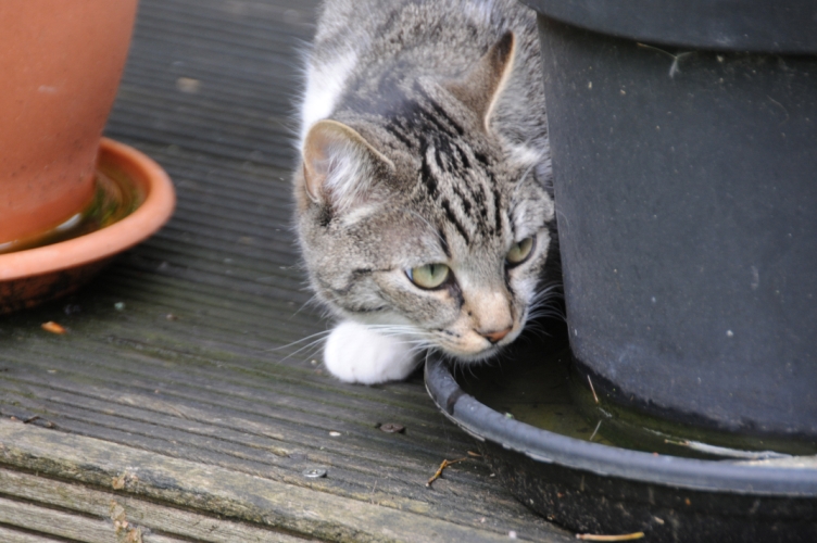 DSC_2332.jpg