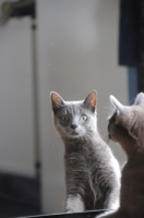 DSC_1932.jpg