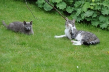 DSC_2310.jpg