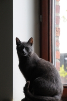 DSC_1934.jpg