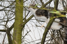 DSC_2346.jpg