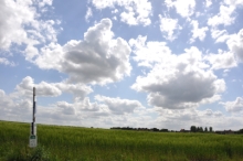 DSC_0038.jpg