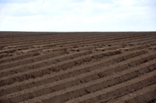 DSC_0046.jpg