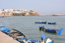 DSC_0784.jpg
