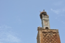 DSC_0865.jpg