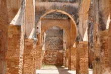 DSC_0909.jpg