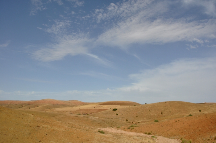 168.jpg