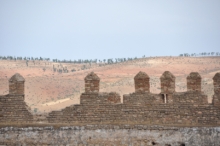 102.jpg