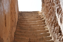 157.jpg