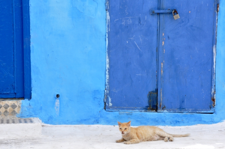 DSC_0743-r.jpg