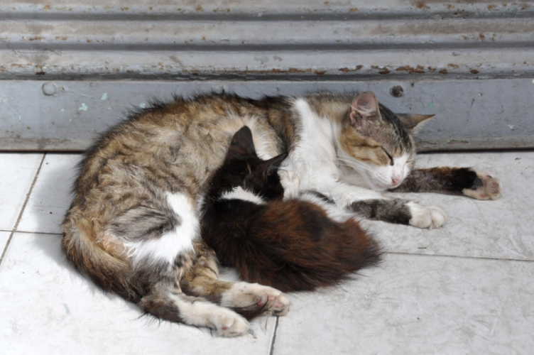 DSC_0776.jpg