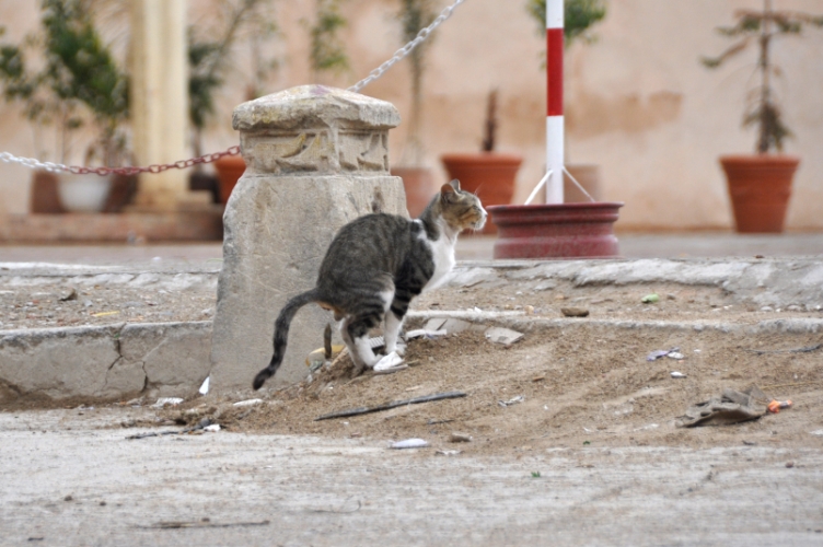 DSC_0660.jpg