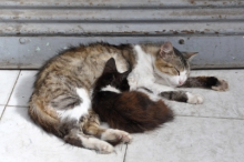 DSC_0776.jpg