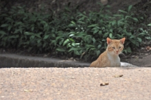 DSC_0825.jpg
