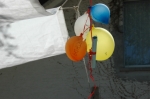 179.JPG
